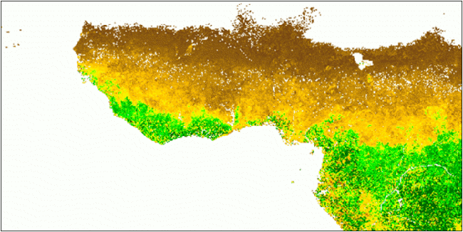 LAI MODIS mensuels customisés sur l’Afrique de l’ouest, 2006