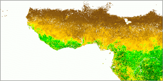 Monthly customized MODIS LAI over West Africa for 2006