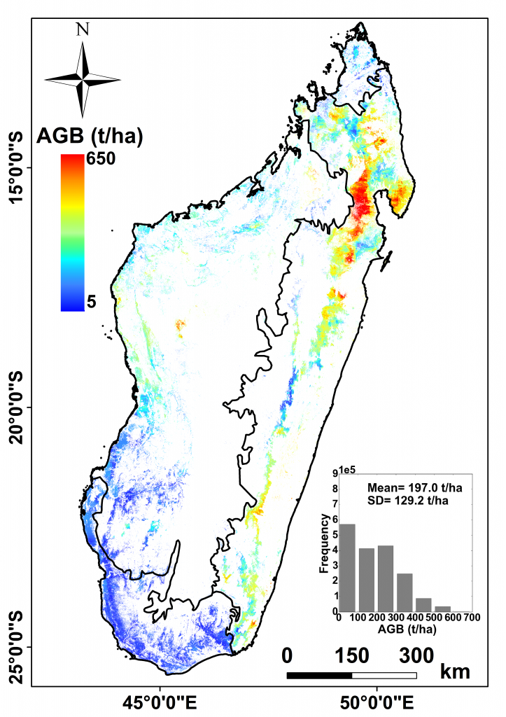 Carte biomasse Madagascar