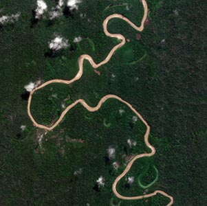 La forêt tropicale au Pérou (région d’Ucayali) observée par Venμs le 19 août 2017 Crédits : CNES