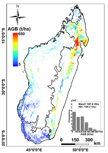 Carte de la biomasse de Madagascar