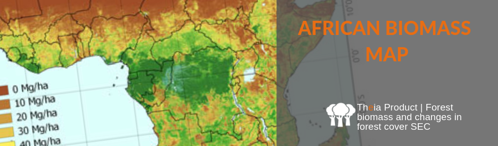 African Biomass Map