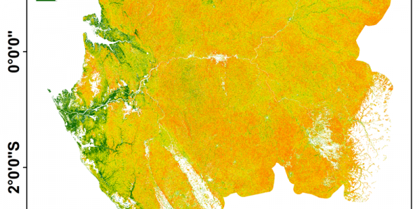 Gabon biomass map