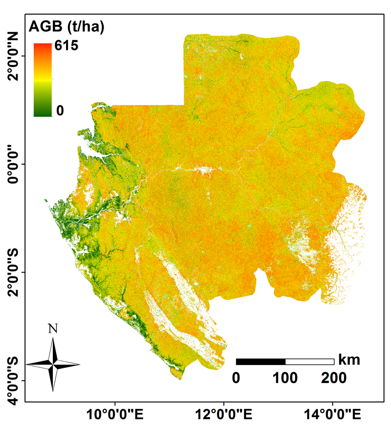 Gabon biomass map