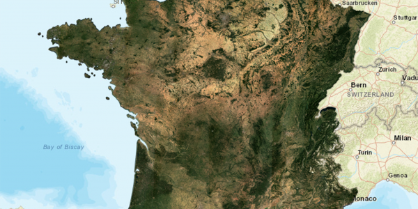 Monthly Surface Reflectance Synthesis for France (August 2019)