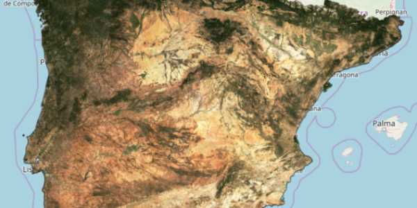 Level-3A reflectance synthesis for the Iberian peninsula (August 2019)