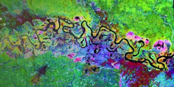 Artist's view of a β diversity mapping obtained with the application of biodivMapR on an area of the Peruvian Amazon.