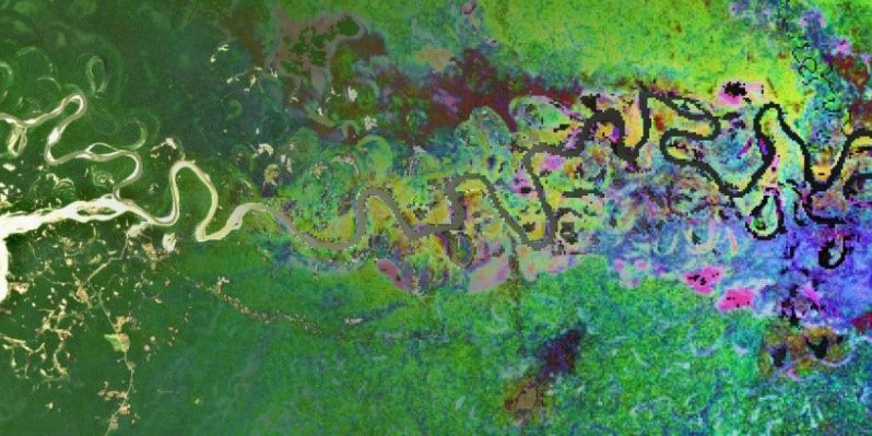 Vue d’artiste d’une cartographie de la diversité β obtenue avec l’application de biodivMapR sur une zone de l’Amazonie péruvienne.