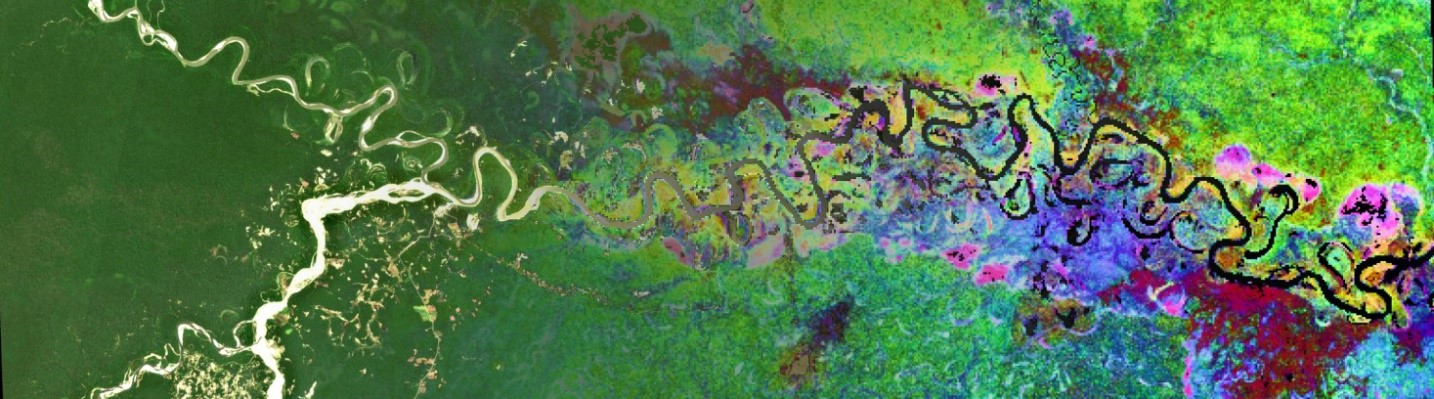 Vue d’artiste d’une cartographie de la diversité β obtenue avec l’application de biodivMapR sur une zone de l’Amazonie péruvienne.