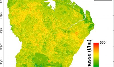 French Guiana Biomass