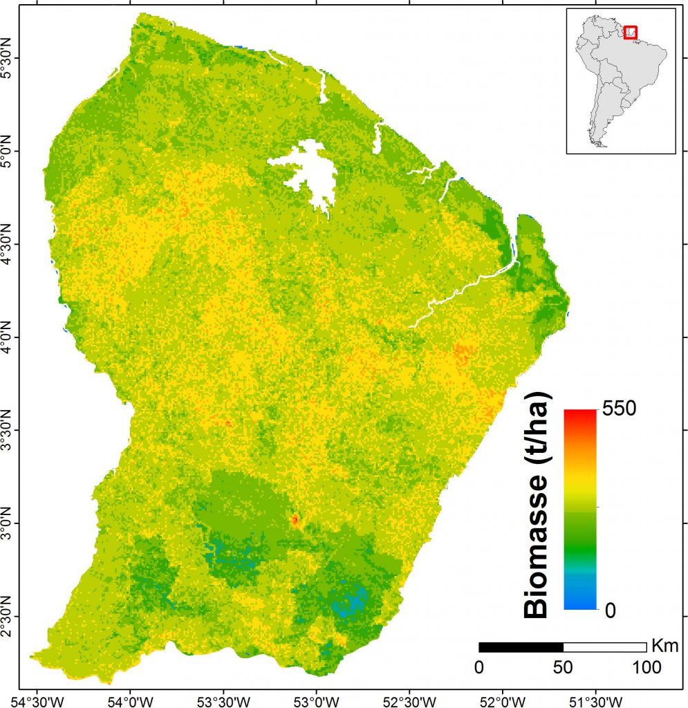 French Guiana Biomass