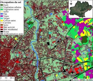 Simplified Land Use