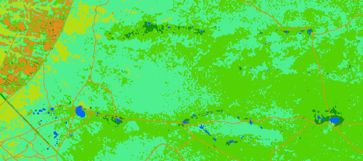 Hwangue National Park (Zimbabwe) Land Cover Mapping