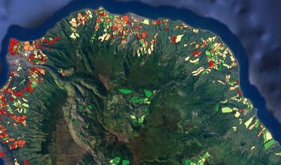 Ile de la Réunion – Distribution spatiale du moustique Aedes albopictus vecteur de la dengue (en rouge : densités fortes ; en vert : densités faibles).