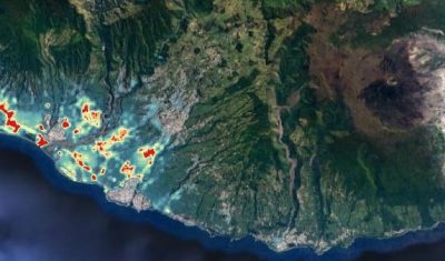 Ile de la Réunion – Distribution des puces Xenopsylla vectrices du typhus murin (en rouge : indice de densité élevé ; en bleu : indice de densité faible)