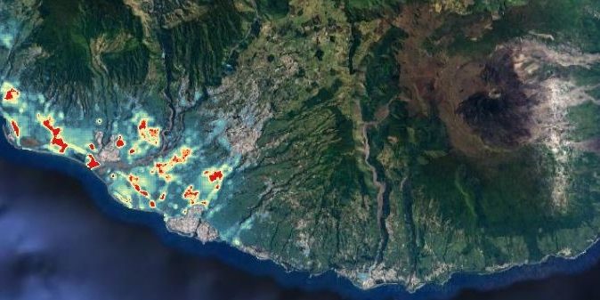Ile de la Réunion – Distribution des puces Xenopsylla vectrices du typhus murin (en rouge : indice de densité élevé ; en bleu : indice de densité faible)