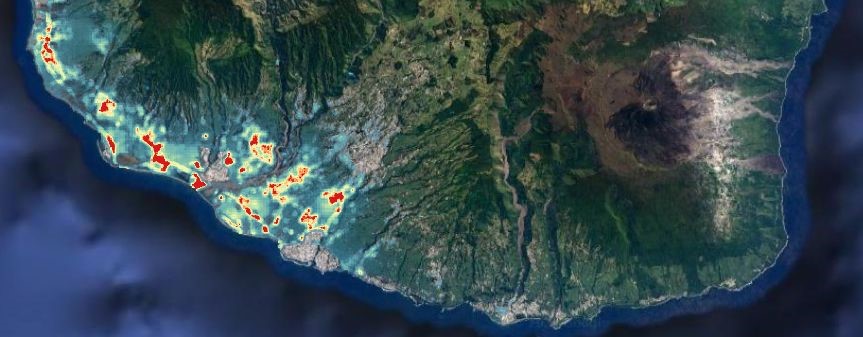 Ile de la Réunion – Distribution des puces Xenopsylla vectrices du typhus murin (en rouge : indice de densité élevé ; en bleu : indice de densité faible)