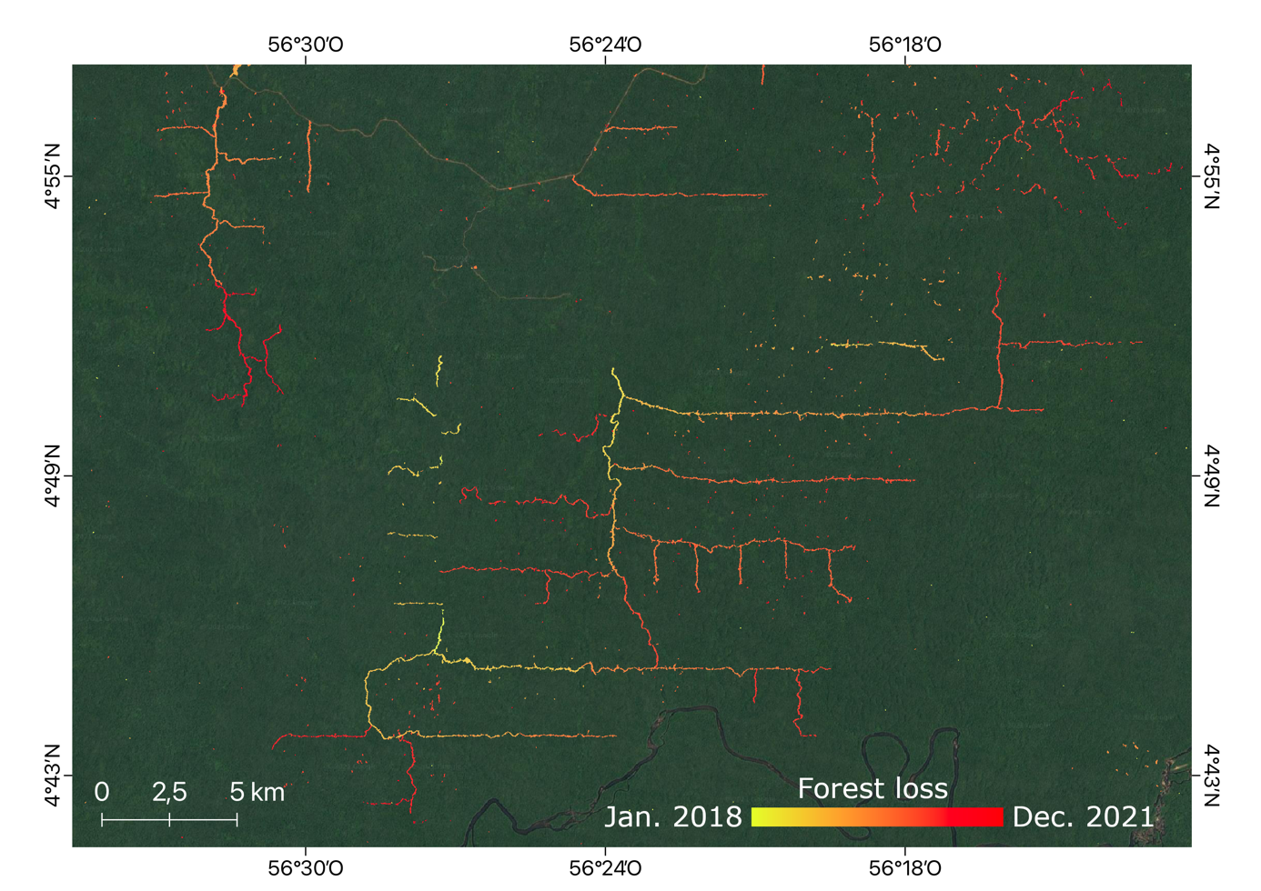 Logging area in Suriname. The first cuttings are often associated with the creation of forest roads, followed by selective cuttings. Background image: Google Earth.