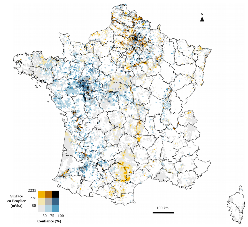 densité des plantations de peupliers par commune en France avec les valeurs médianes de la confiance de prédiction pour l'année 2018. La carte a été produite à partir du Poplar Index calculé à partir des séries temporelles Sentinel-2.  Distribution à venir dans le cadre du CES OSO