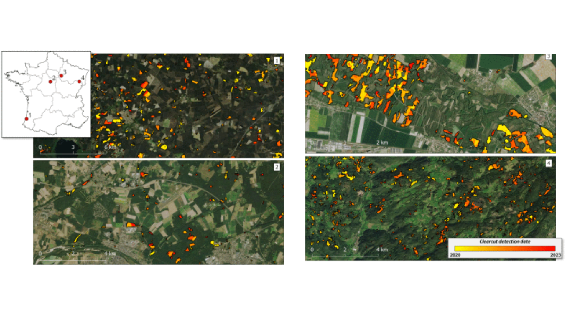 Exemples de détection de coupes rases 1) Coupe d'une forêts de conifères dans les Landes 2) Coupe rase d'une forêt publique près de Châteauneuf-sur-Loire, dans la région d'Orléans 3) Coupe rase d'une plantation de peupliers sur les bords de la Seine près de Troyes  4) Coupe rase en montagne dans les Vosges. Fond : Imagerie SPOT apportée par l'IGN. 