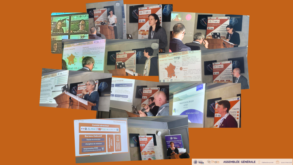 Prise de paroles des tutelles, des CDS et des IR lors de l'AG THEIA 2026