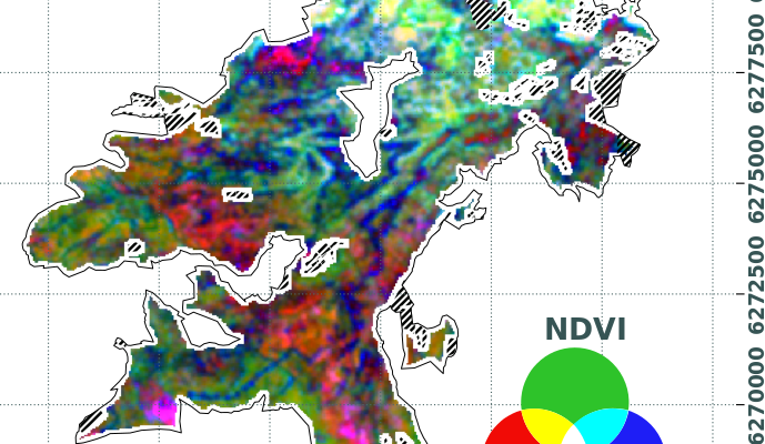 Cartographier l'hétérogénéité de la garrigue
