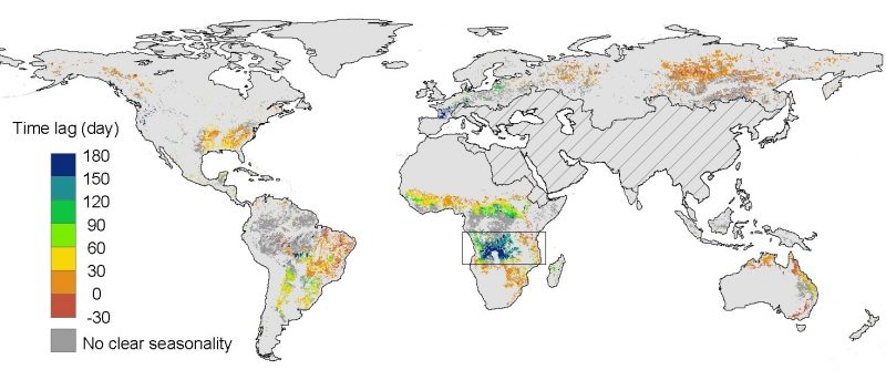 Mesurer les variations saisonnières du contenu en eau de la végétation et du développement des feuilles avec SMOS. Cartographie des variations saisonnières du contenu en eau de la végétation