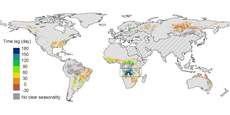 Mesurer les variations saisonnières du contenu en eau de la végétation et du développement des feuilles avec SMOS. Cartographie des variations saisonnières du contenu en eau de la végétation