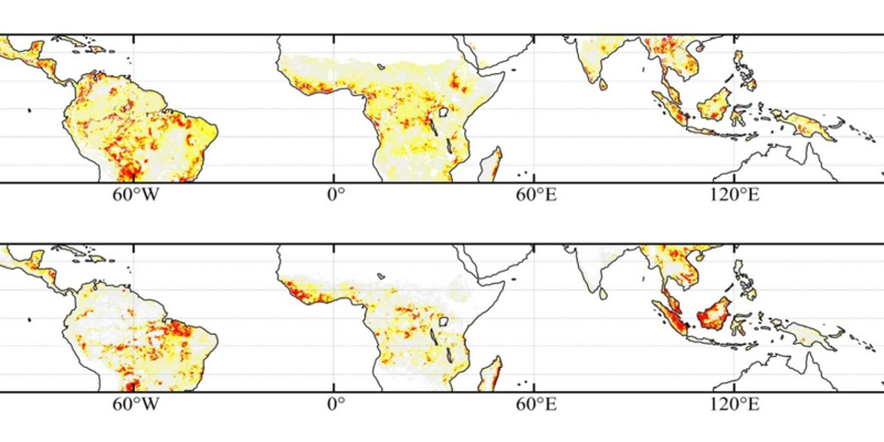 Pertes de carbone et déforestation dans les tropiques (2010-2017) :
cartes (a) des pertes brutes de carbone de la biomasse aérienne mesurées avec l’indice SMOS L-VOD (Mg C ha-1 an-1) et (b) des pertes de surfaces forestières liées à la déforestation (%) mesurées par Hansen et al. (Science, 2013).
