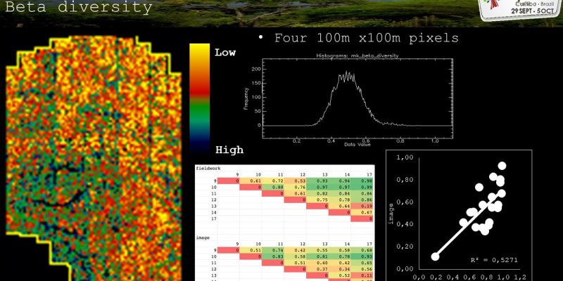 Résultats obtenus pour la cartographie de la diversité bêta, faisant apparaître les gradients de composition des communautés d’espèces.