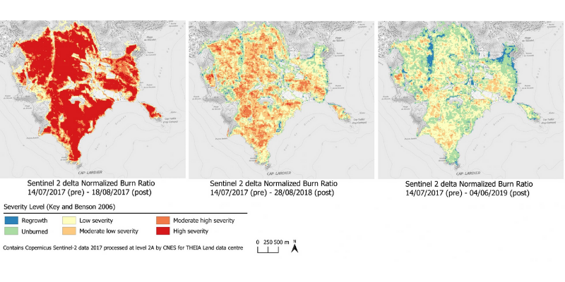 Suivi de la végétation après l’incendie de La-Croix-Valmer de juillet 2017.