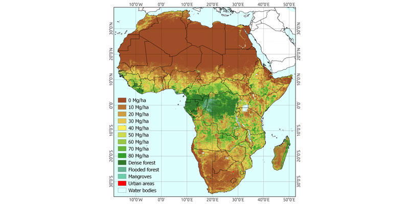 Carte de la biomasse aérienne de l'Afrique