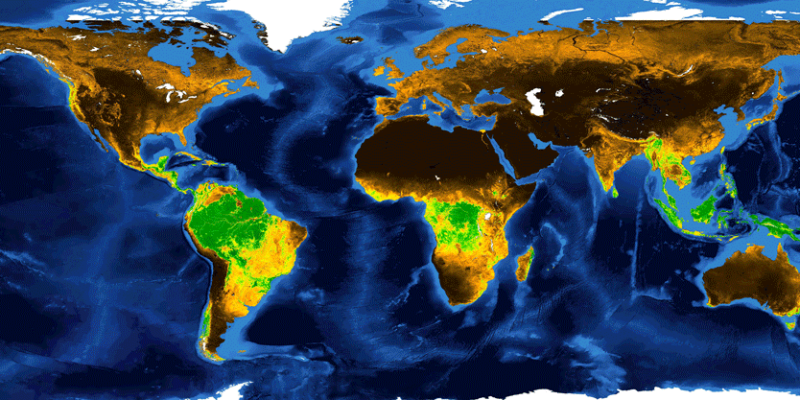 Suivre l'évolution des variables biophysiques de la végétation à l'échelle mondiale depuis depuis 1981