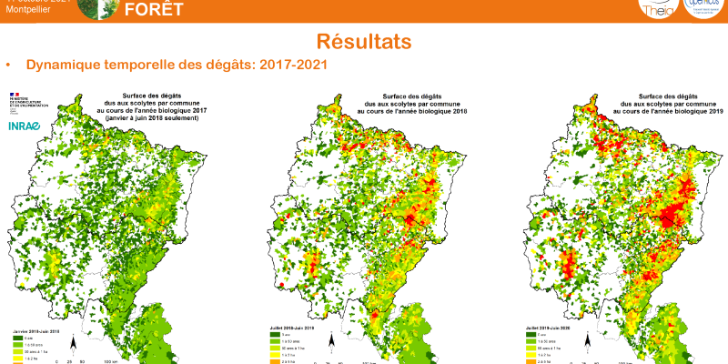 Exemple de cartographie des dégâts de scolytes sur des massifs d'épicéas.